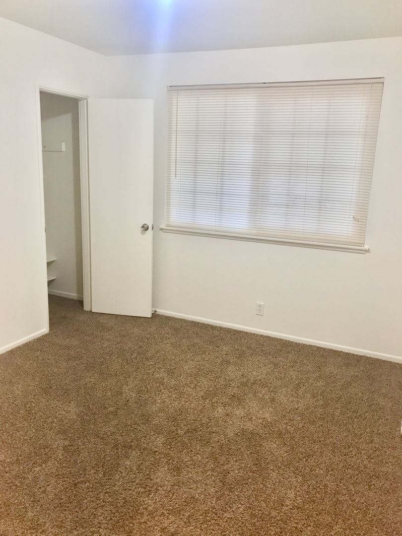 4 Bed 3 Bath Beautiful Home – photo 5
