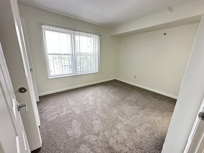 10774 Belle Creek Boulevard – photo 5