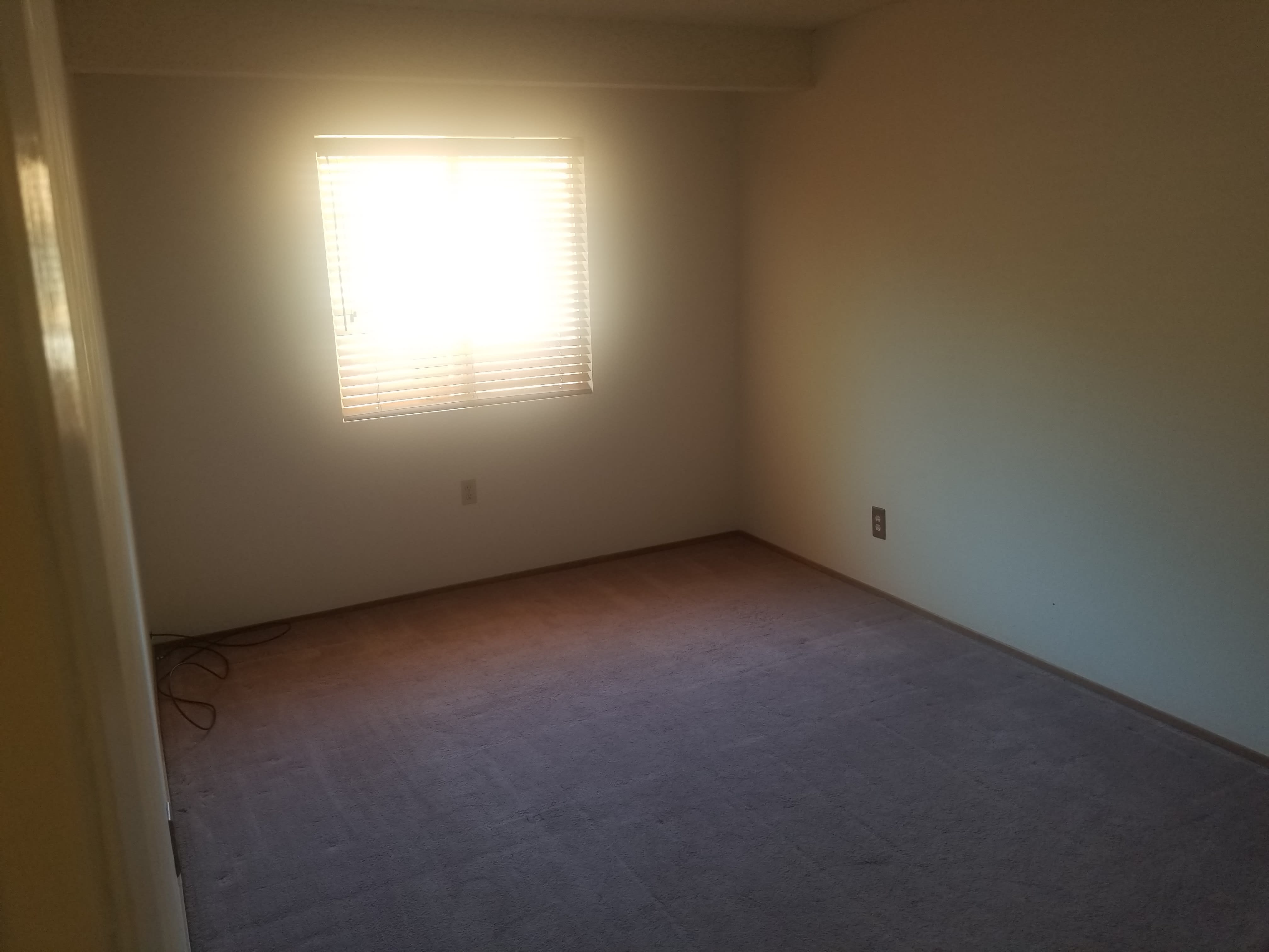 116 Oliva Ct – photo 5
