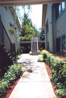 Canyon Manor – photo 5