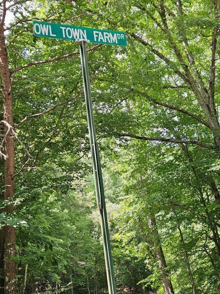 287 Owltown Farm Drive – photo 2