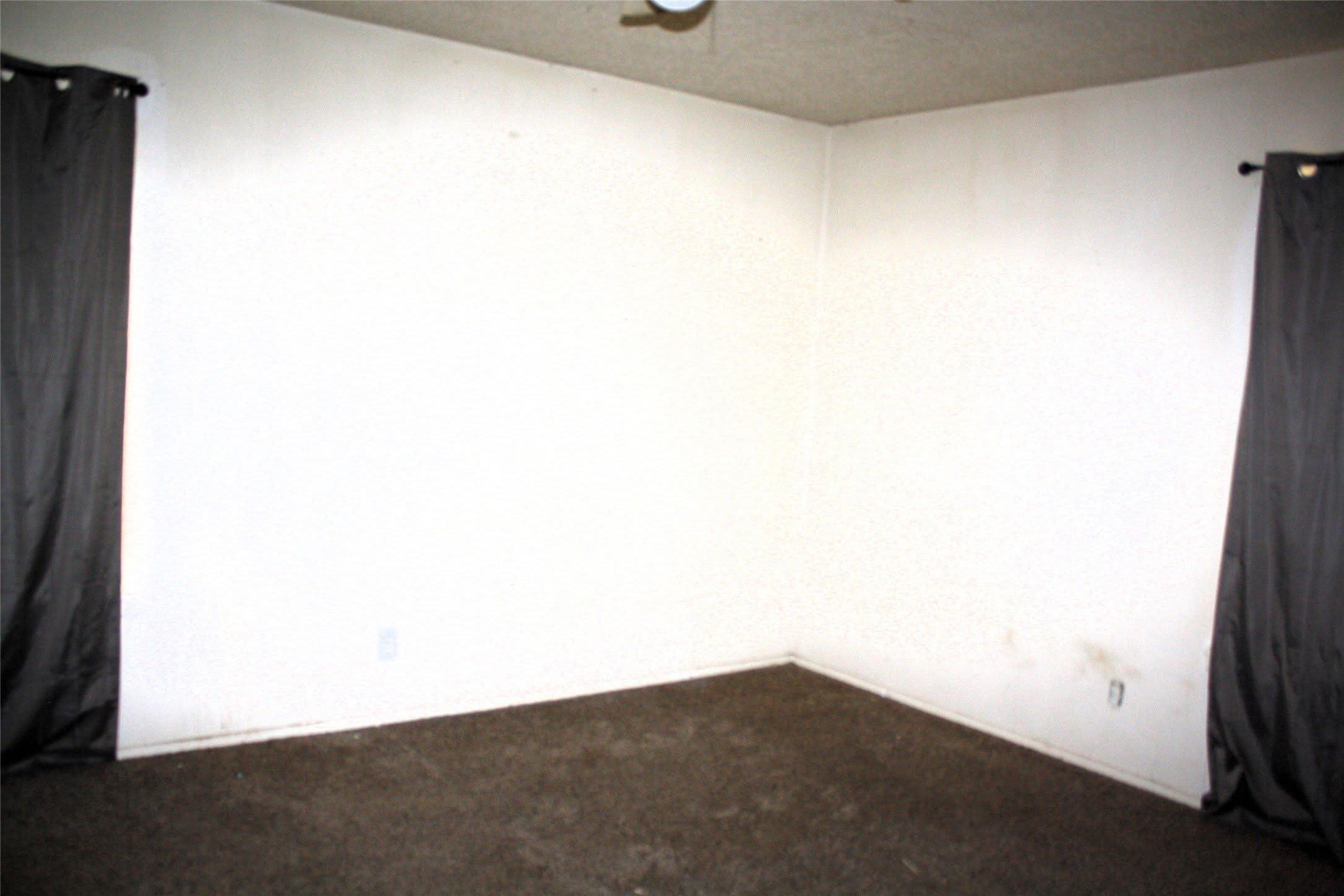 423 Waller Drive – photo 5