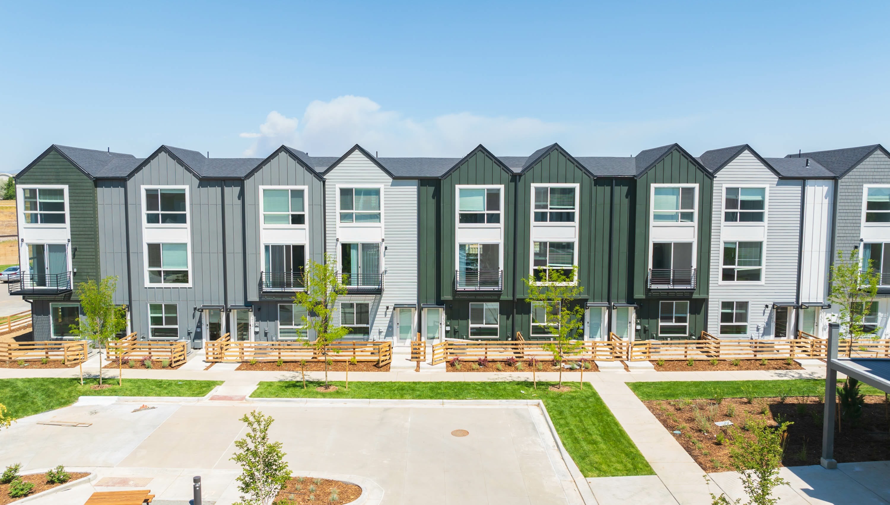 Lupine Longmont – photo 3