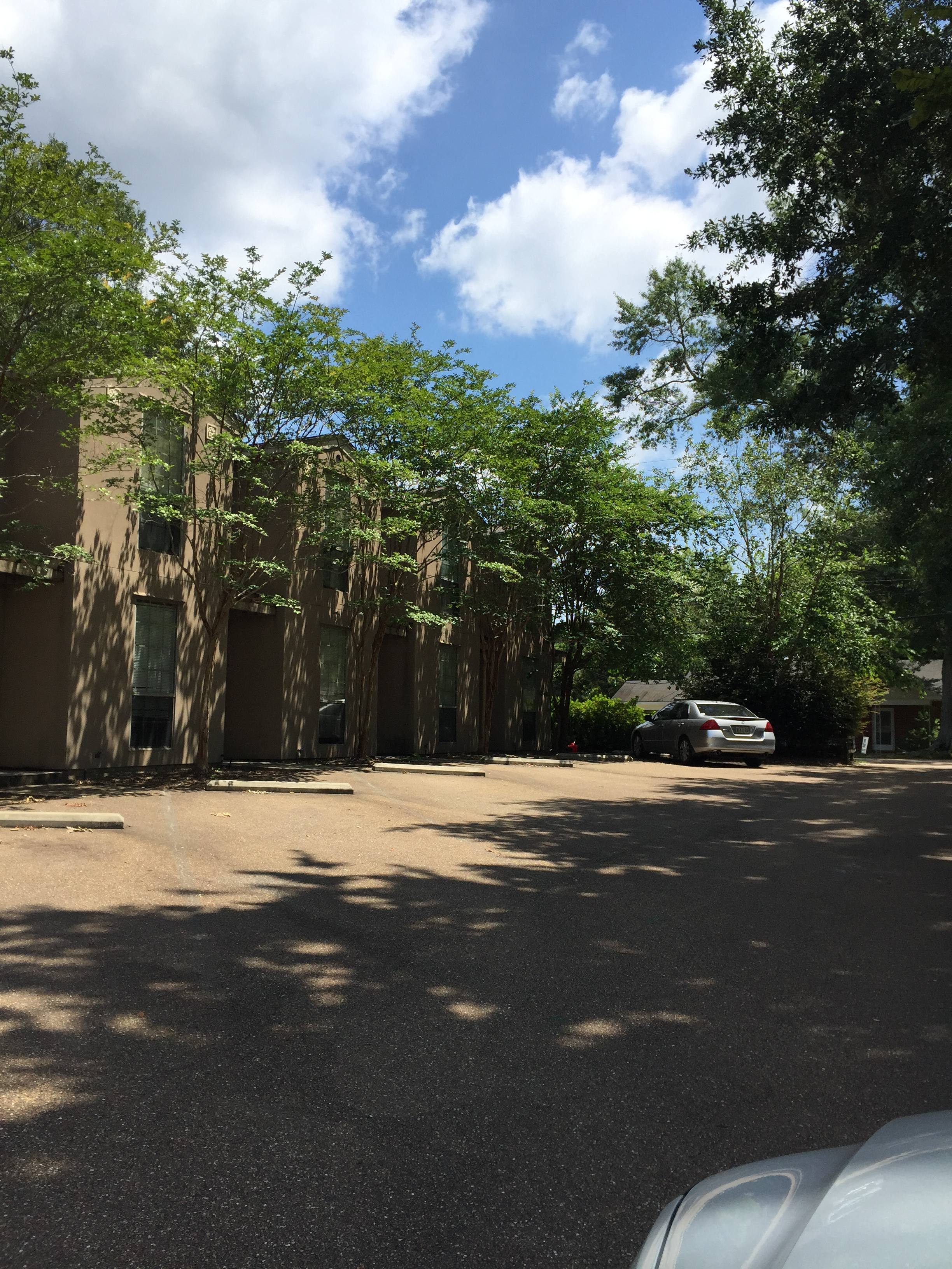 409 West Alabama Avenue – photo 2
