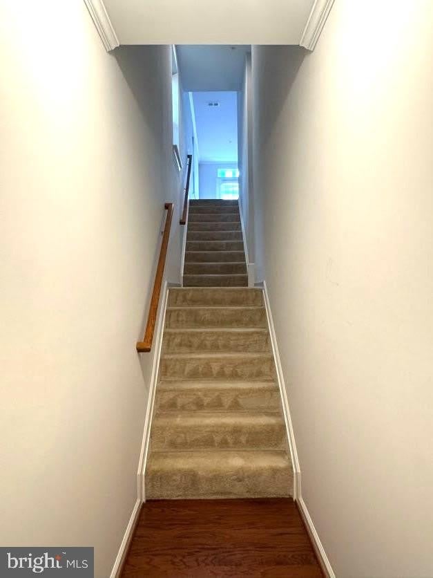 4812 DANE RIDGE Circle – photo 5