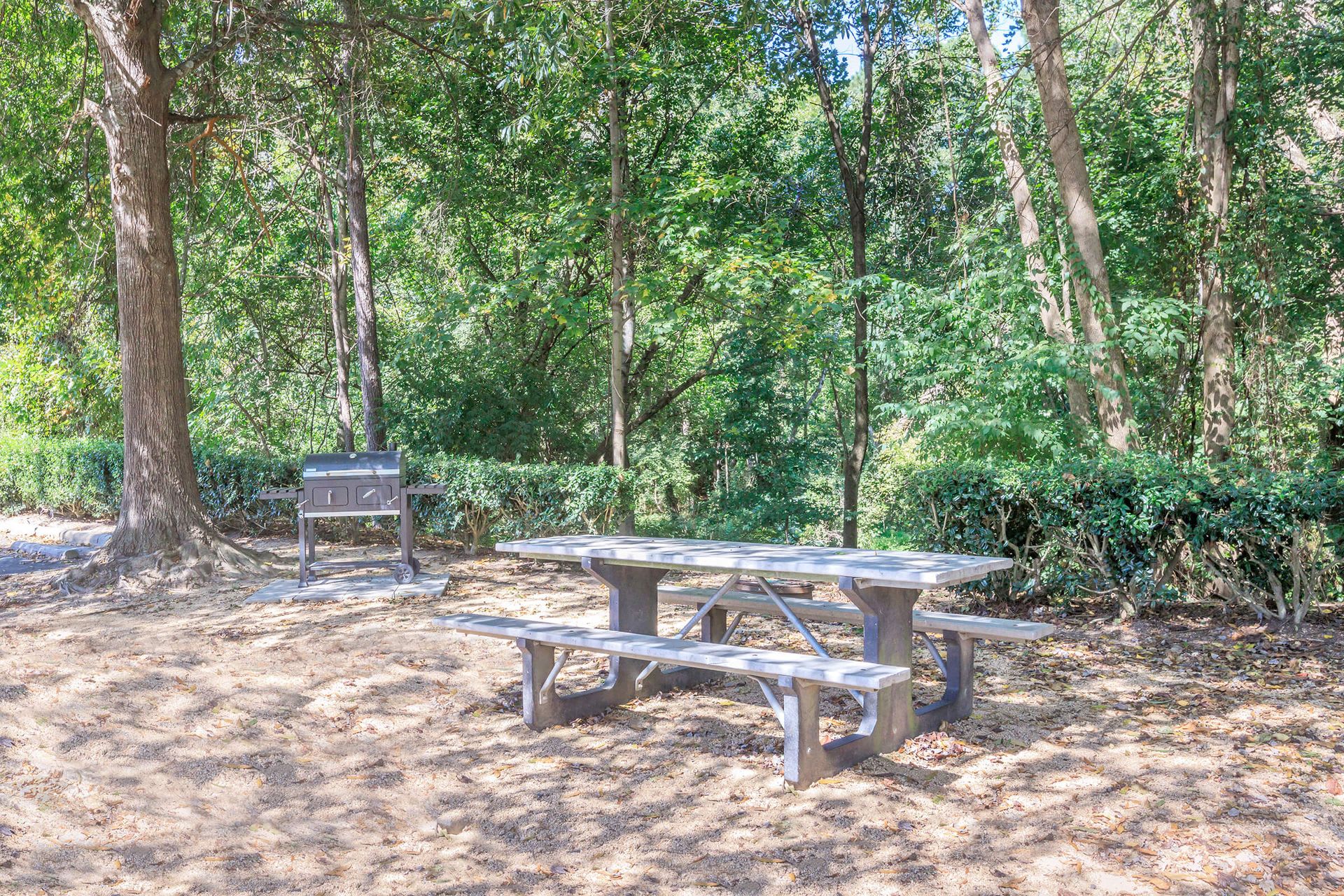 Vivo Living Ivy Creek – photo 4