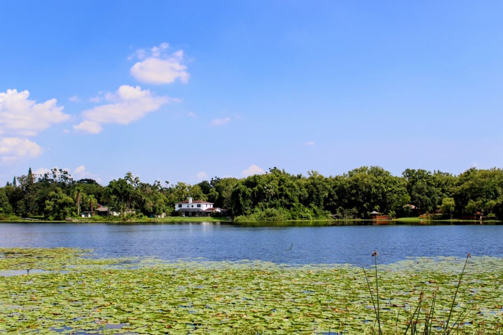 Modern Comfort Awaits at 3012 Justamere Ln — Your Perfect Lakefront Florida Retreat! – photo 2