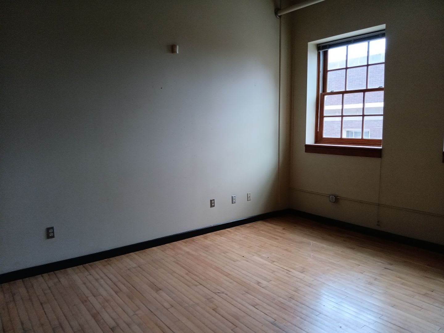 Studio Located in the vibrant city of Albuquerque – photo 5