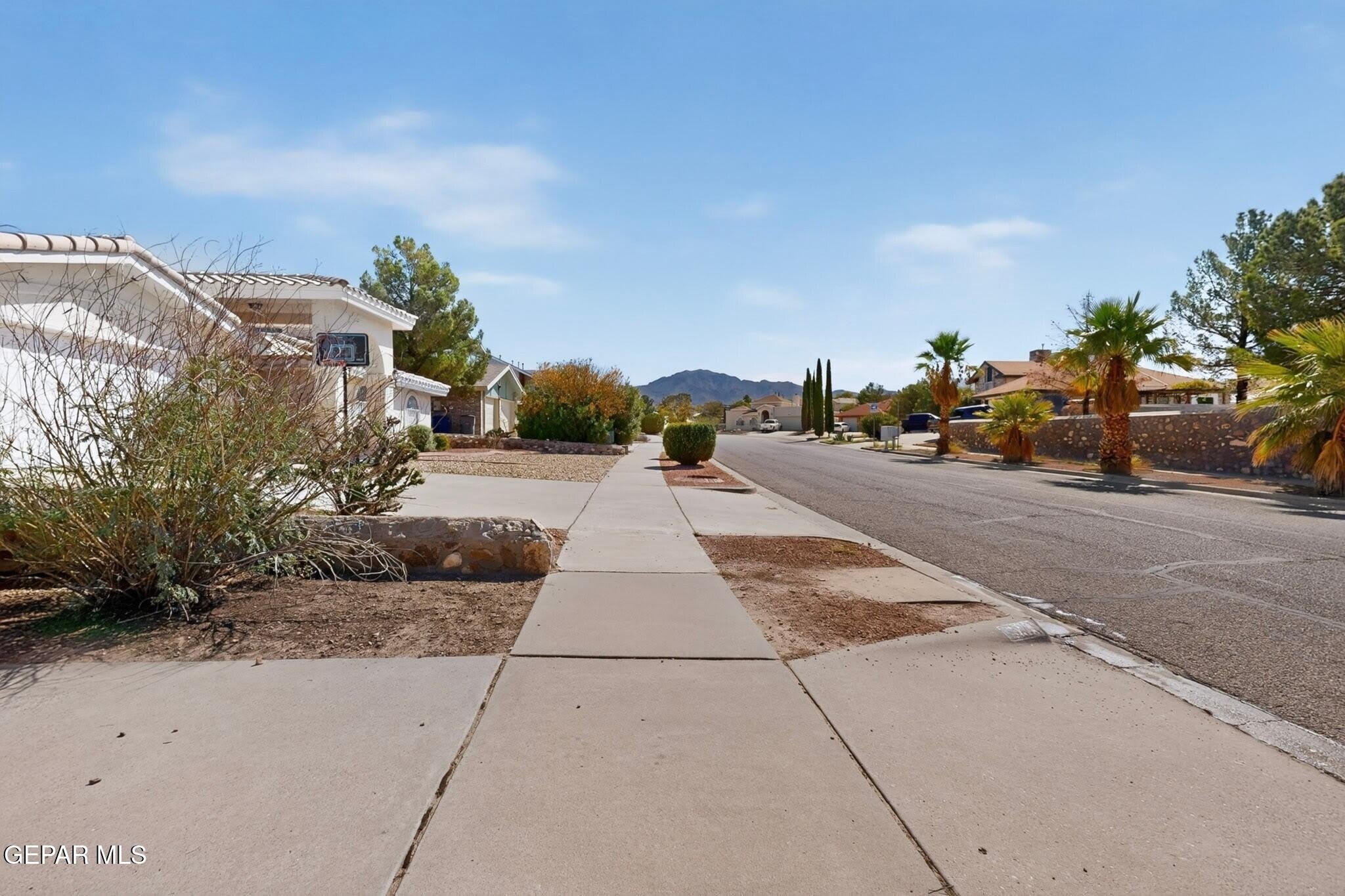 7419 Mission Viejo Drive – photo 5