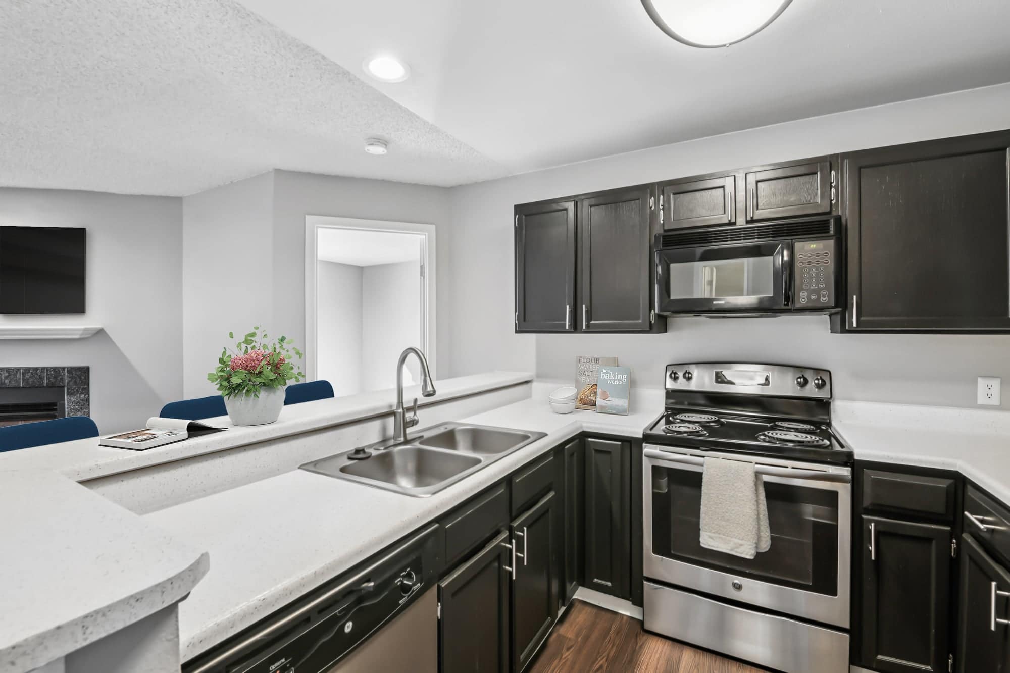 Bluesky Landing Apartments – photo 3