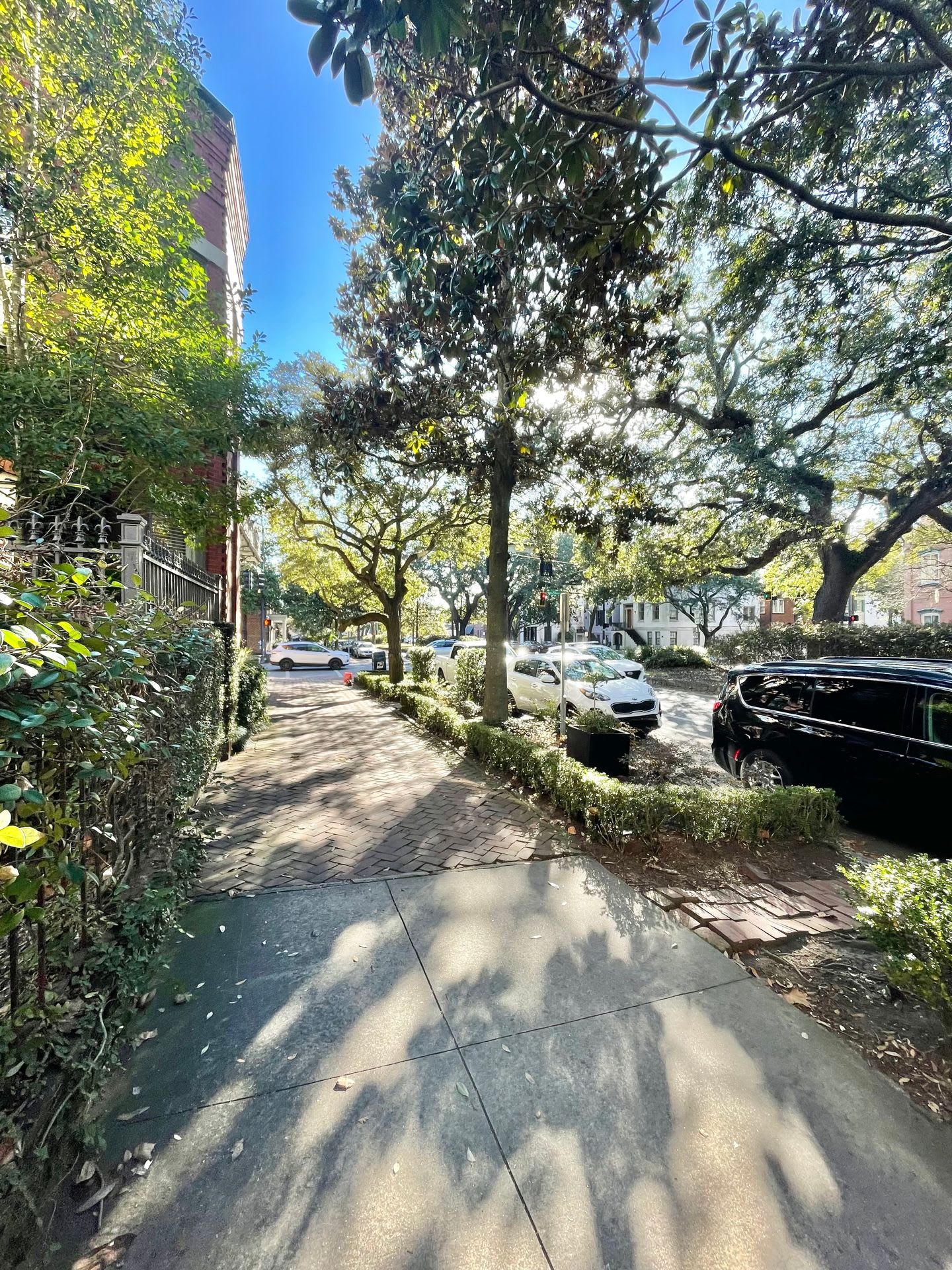 Charming 1 Bedroom, 1 Bathroom Courtyard Apartment in Downtown Savannah – photo 4