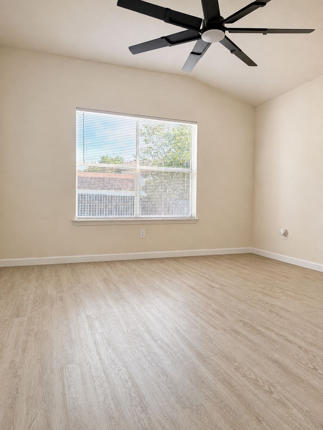 1017 Reynaldo Street – photo 3