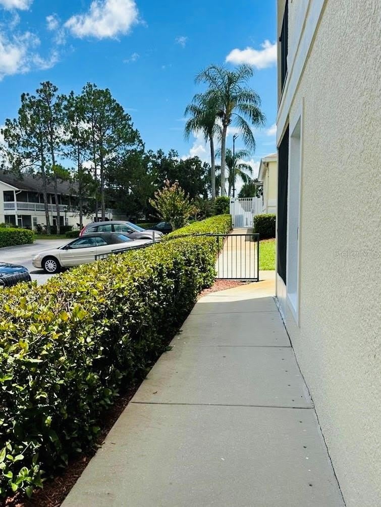 8804 GRAND PALMS Circle – photo 3