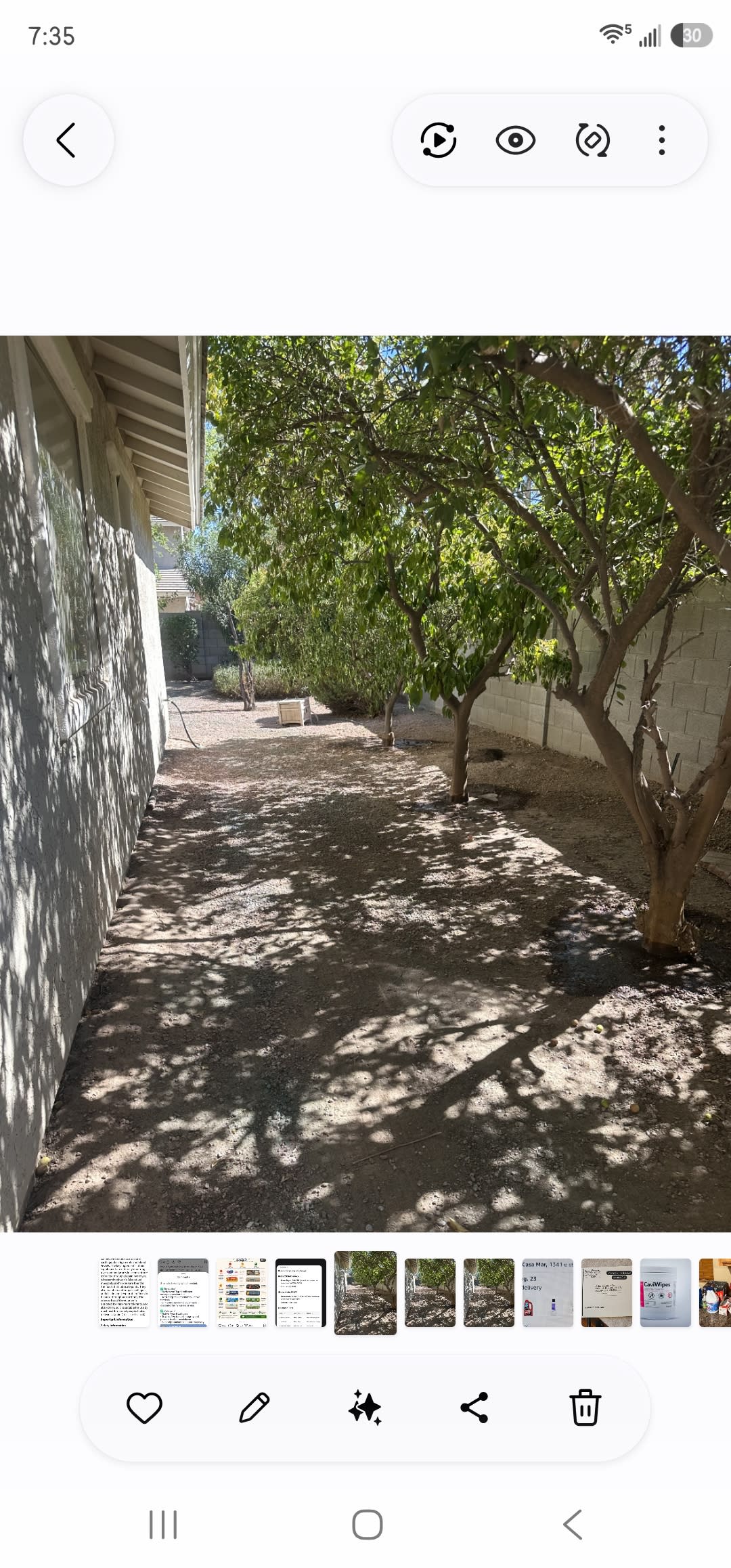 1341 East Strawberry Drive – photo 5