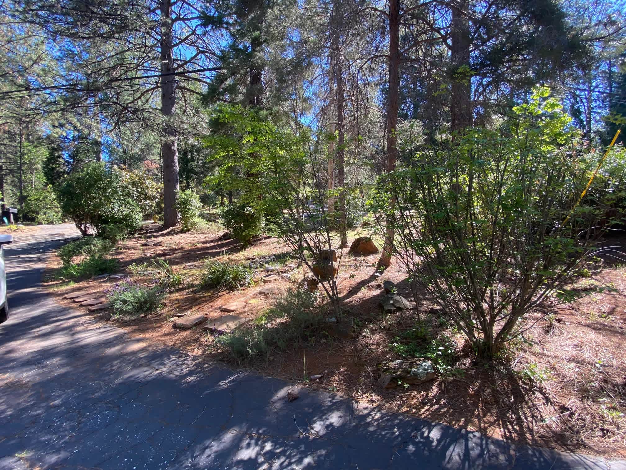 10959 Alta Sierra Drive – photo 4