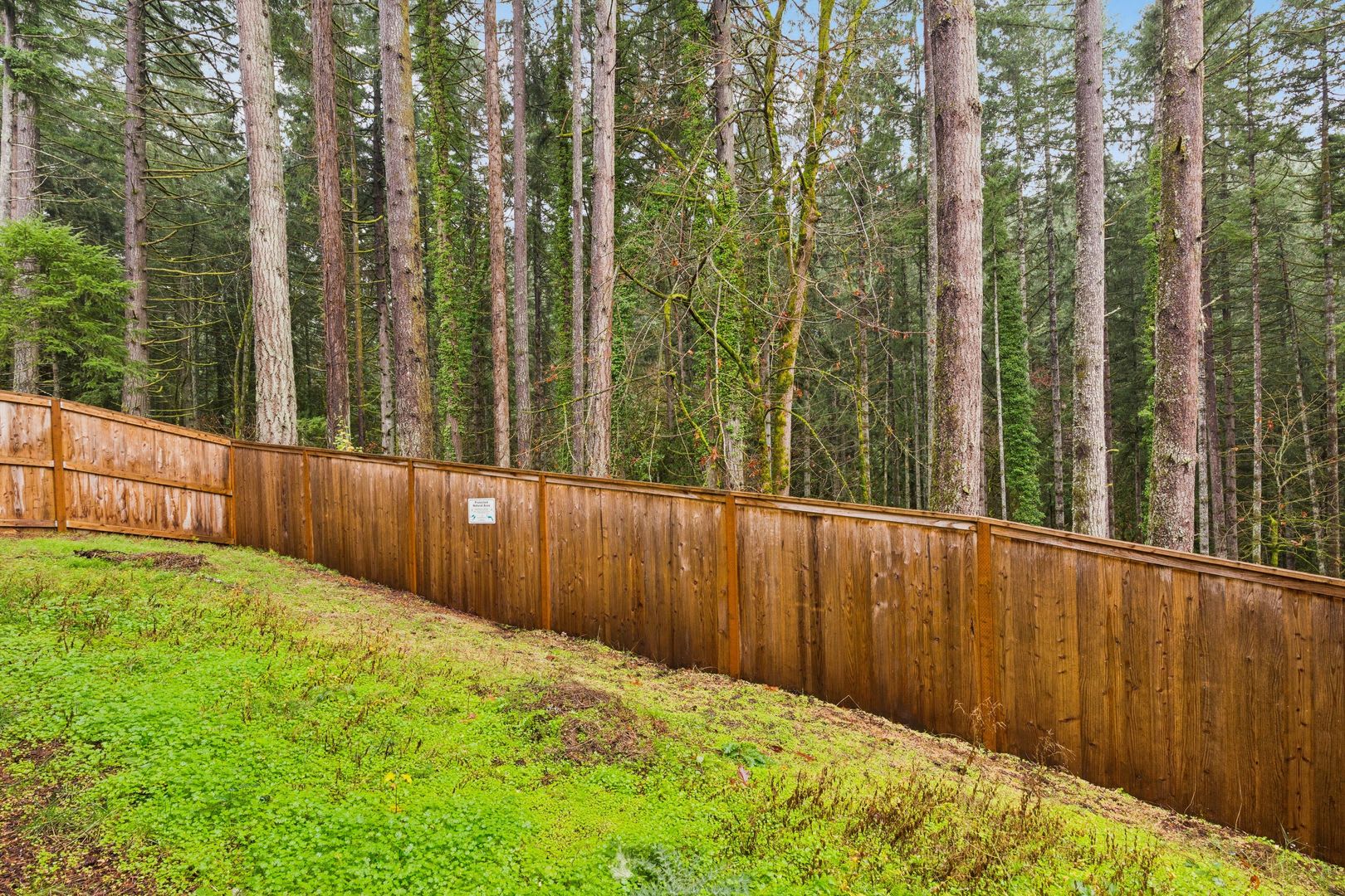 Beautiful Home on Cooper Mountain (Photos Pending!) – photo 3