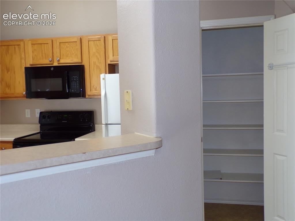 3815 Riviera Grove – photo 5
