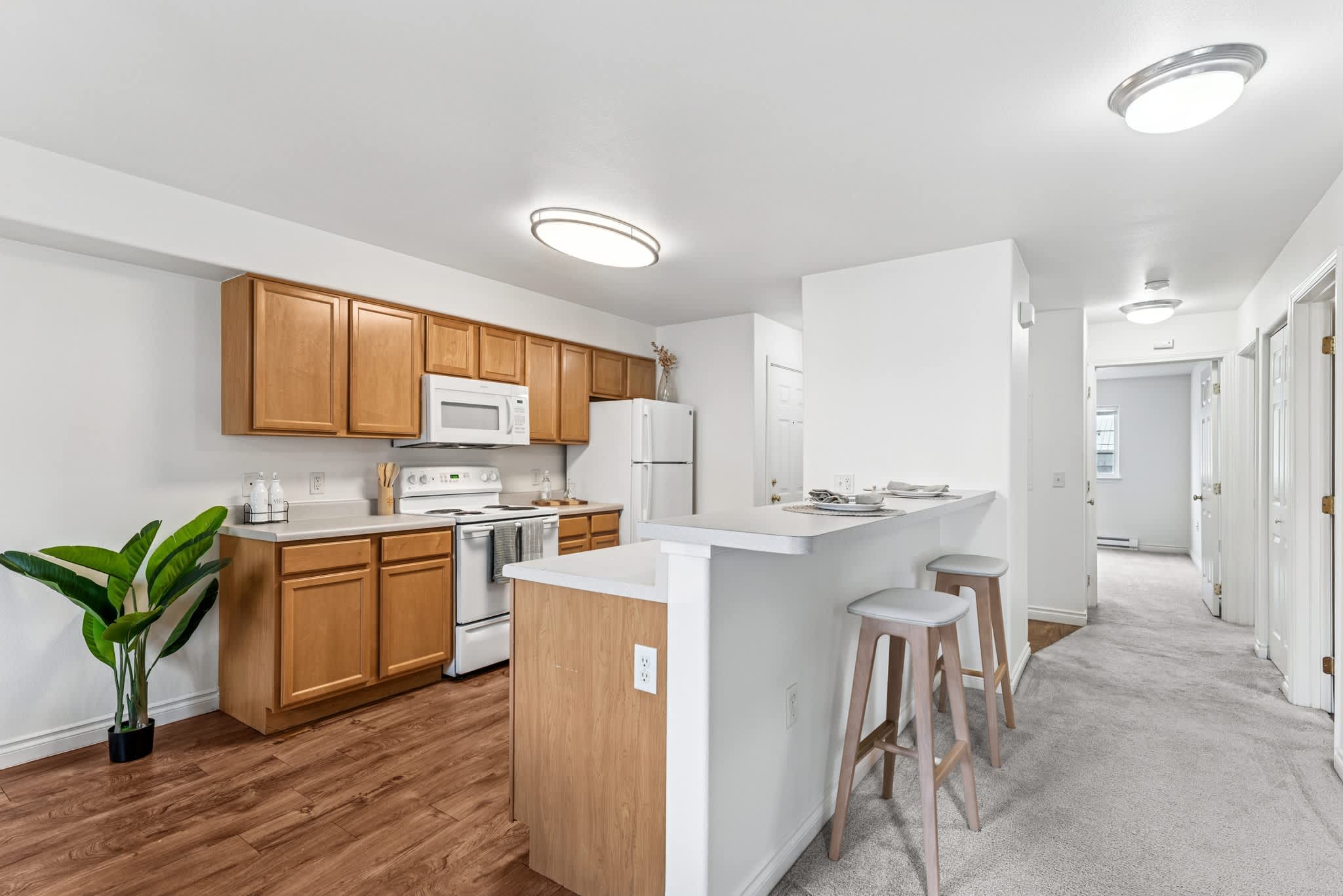 Lion's Gate – photo 5