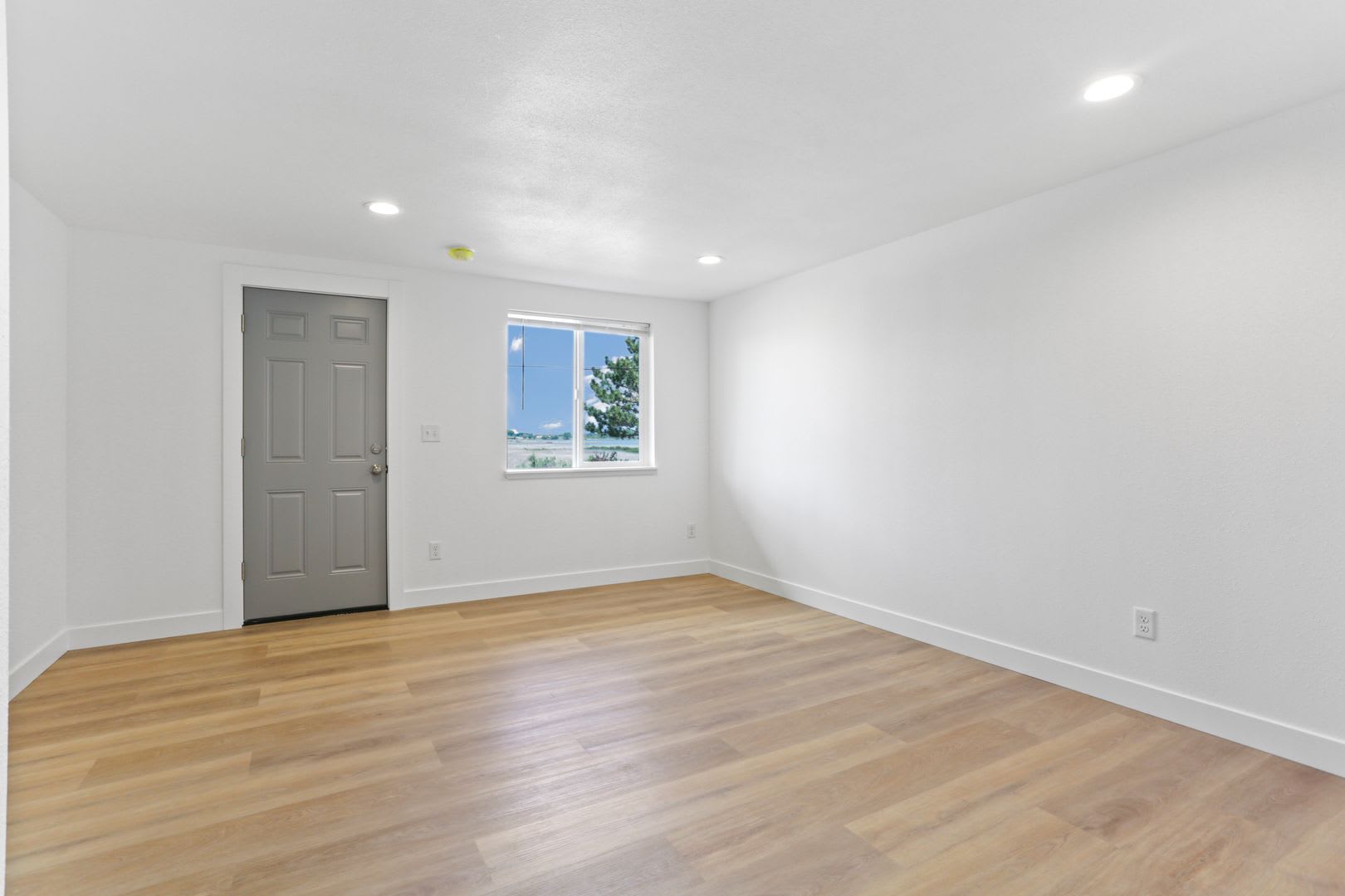 Renovated Studio Available Now! – photo 4