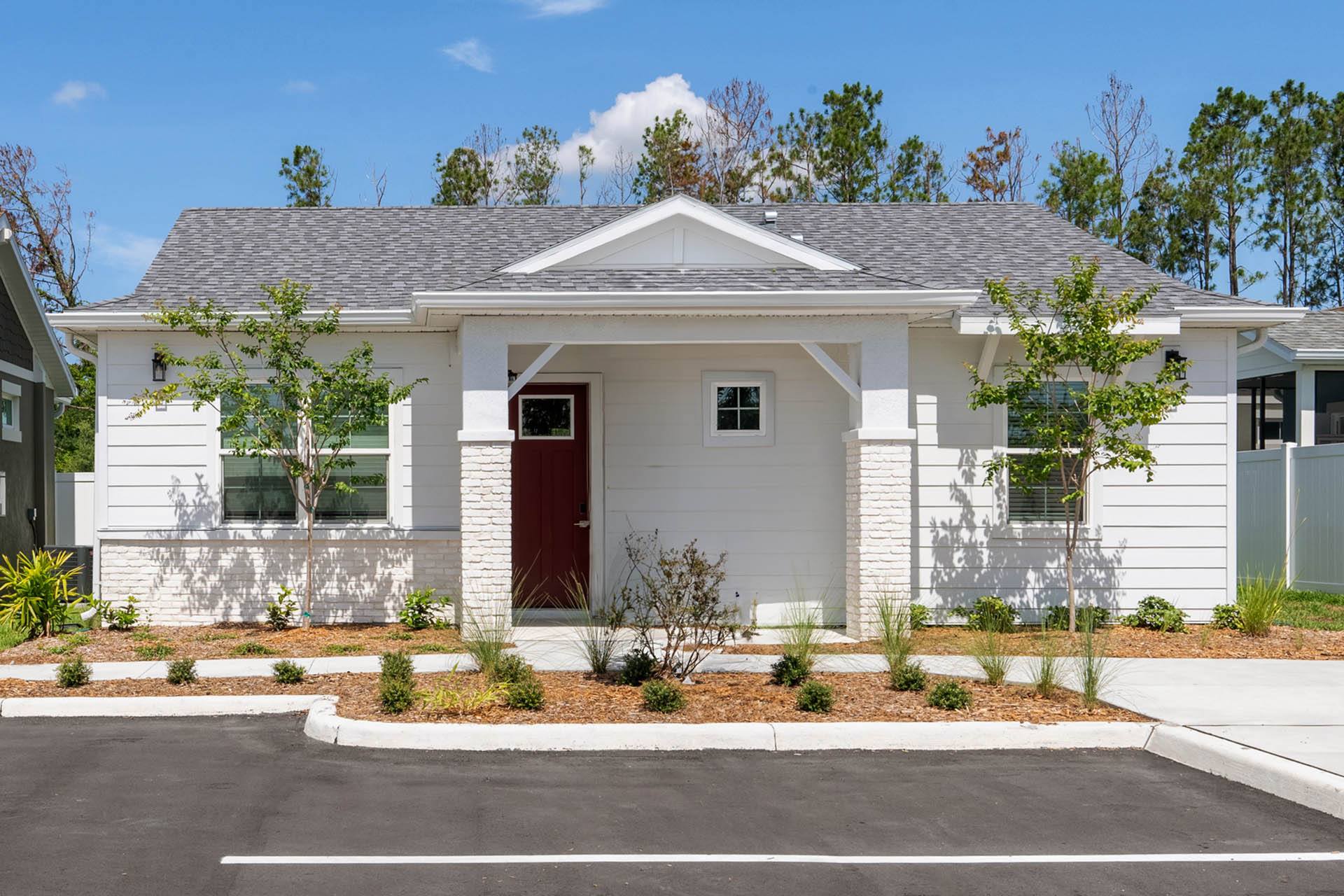 Avilla Silver Palm – photo 1