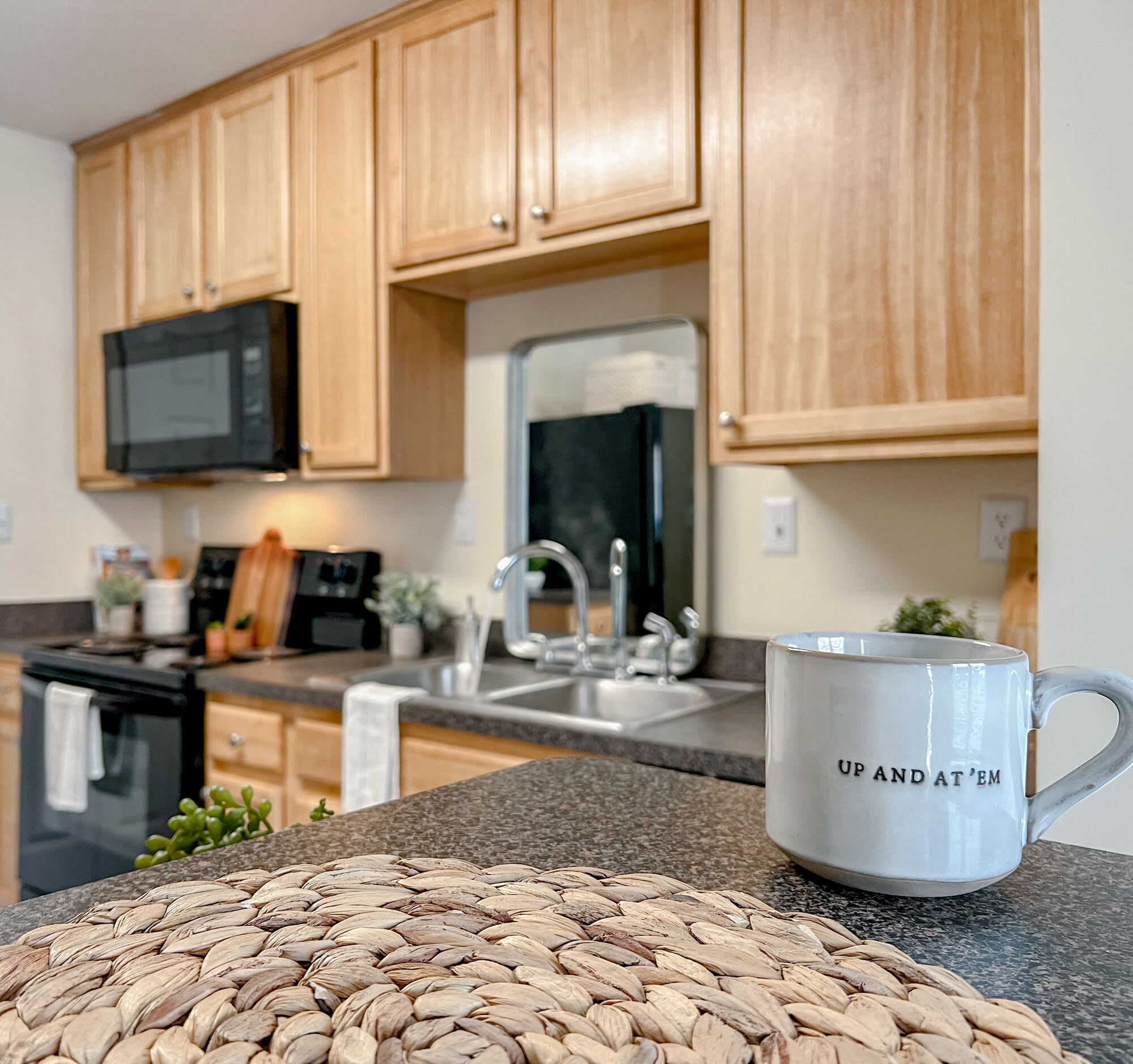 Walkers Chase Townhomes – photo 5