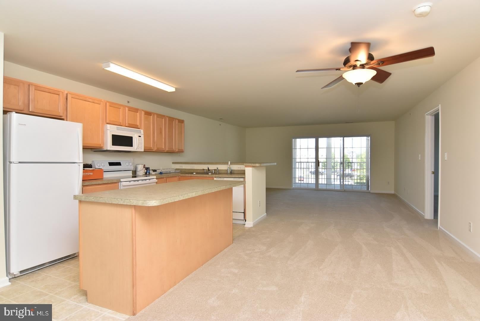1306 CAITLINS Way – photo 3