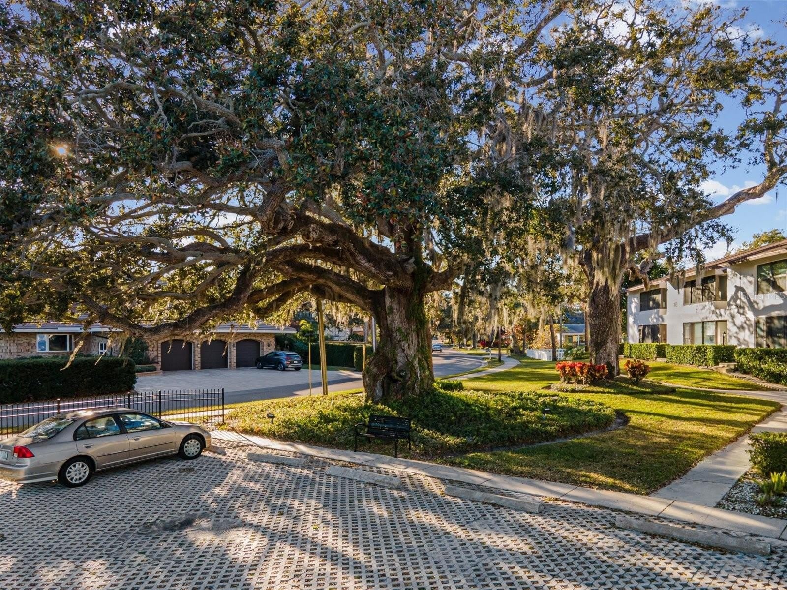 413 S BAYSHORE BOULEVARD 4 – photo 3