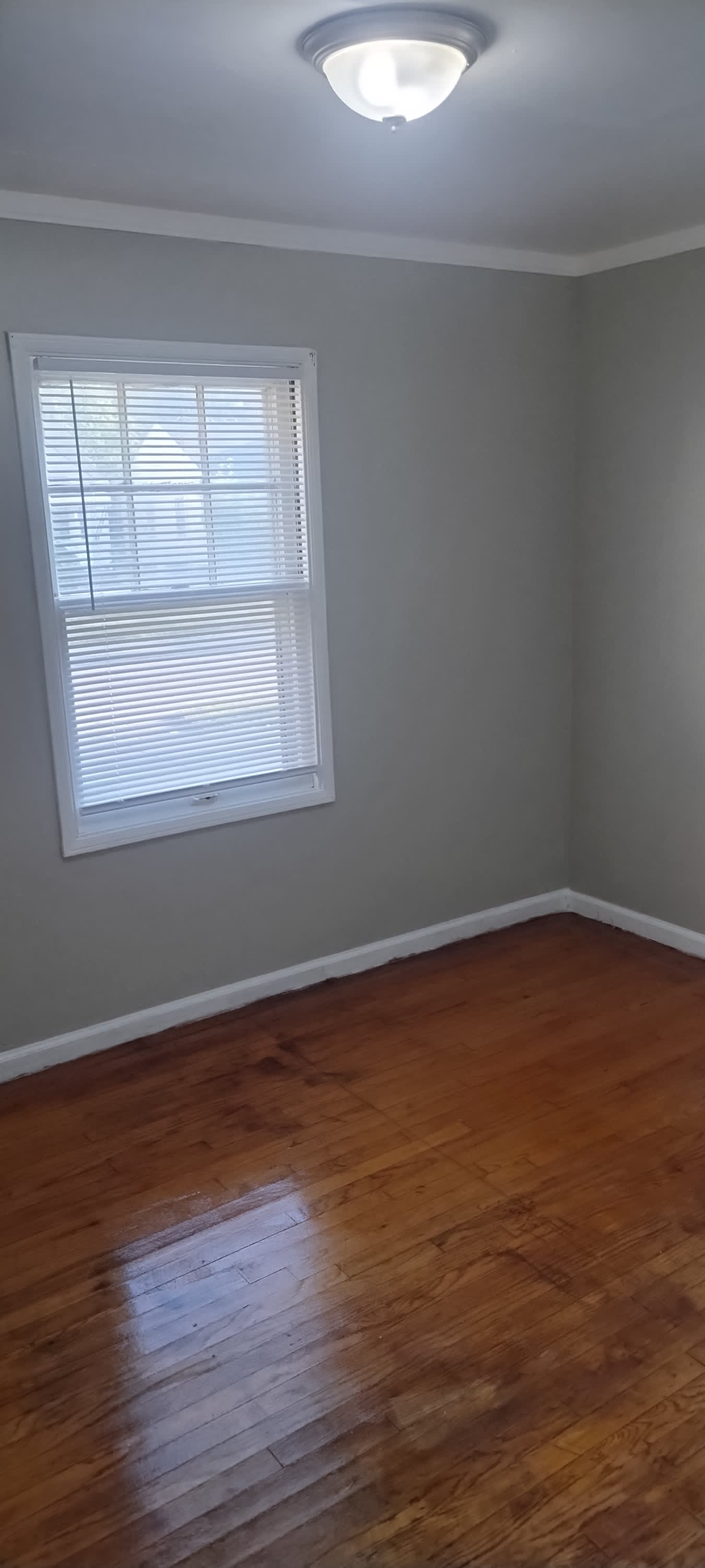 16620 Liberal Street – photo 4