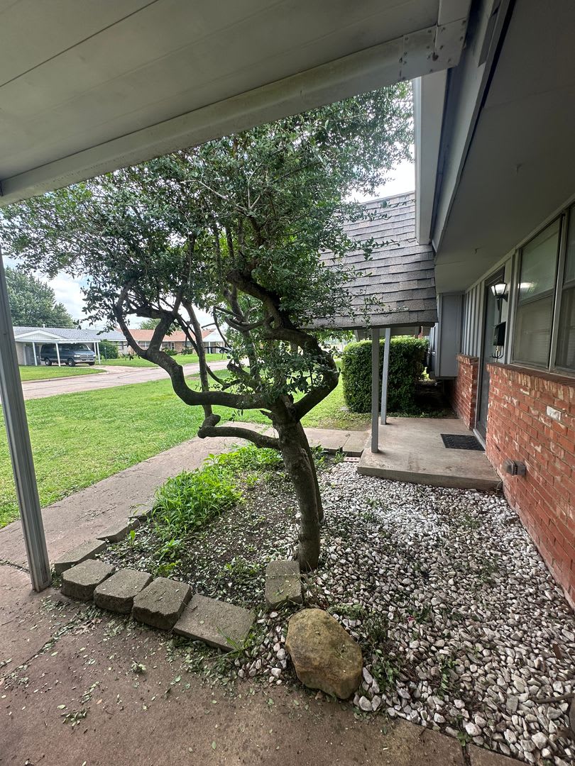 3 Bed 1.5 Bath – photo 5