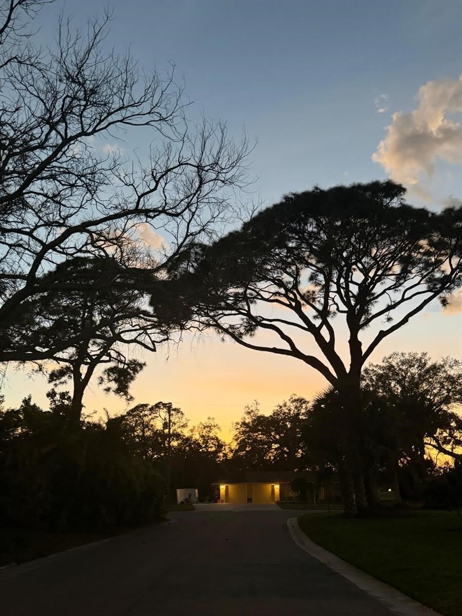 5004 MEDALIST Road – photo 5