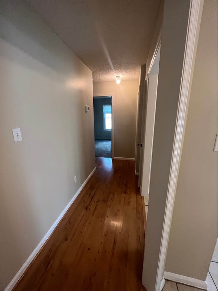 3212 Tyndall Drive – photo 4