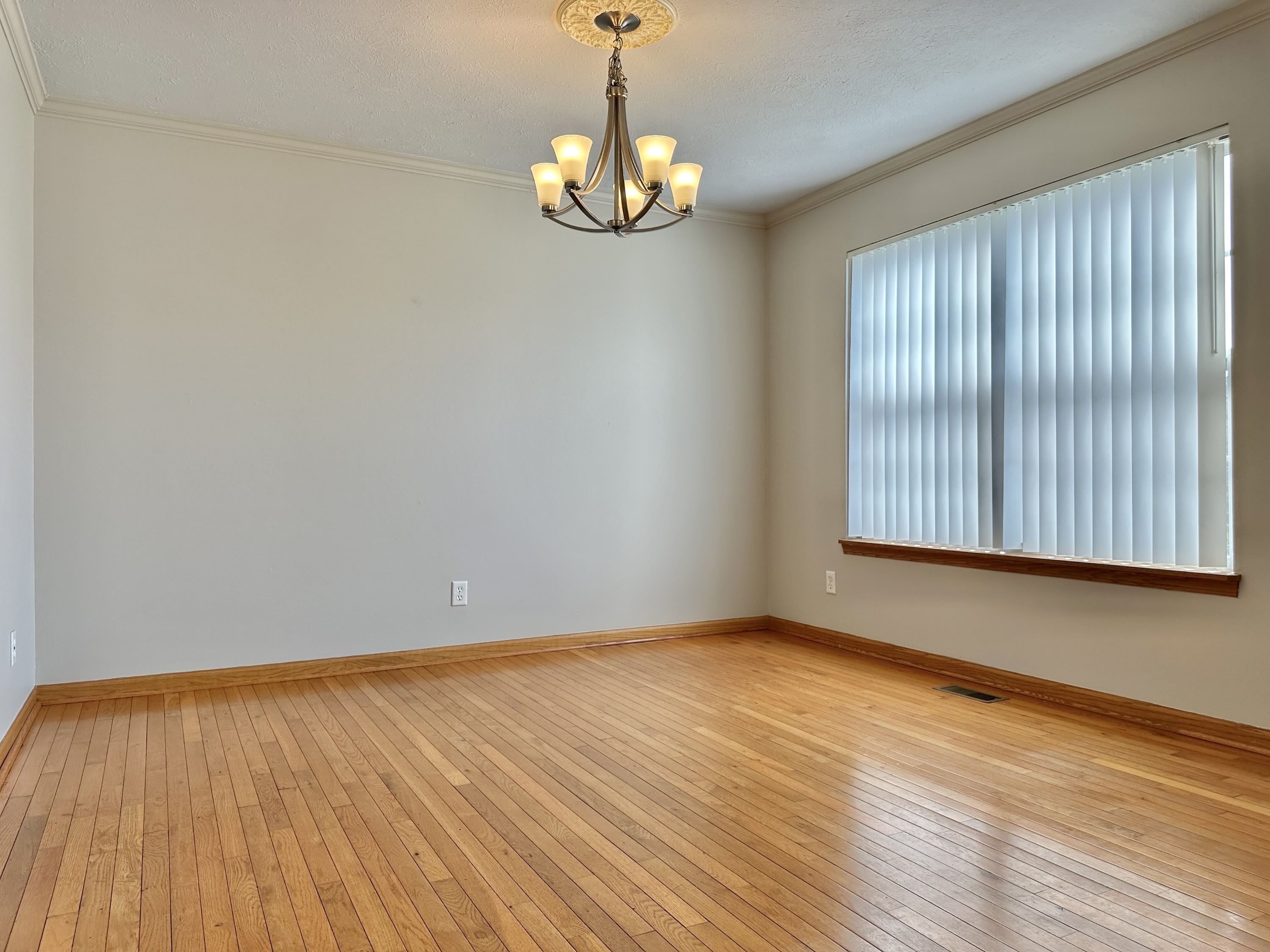 7143 Polo Place – photo 5