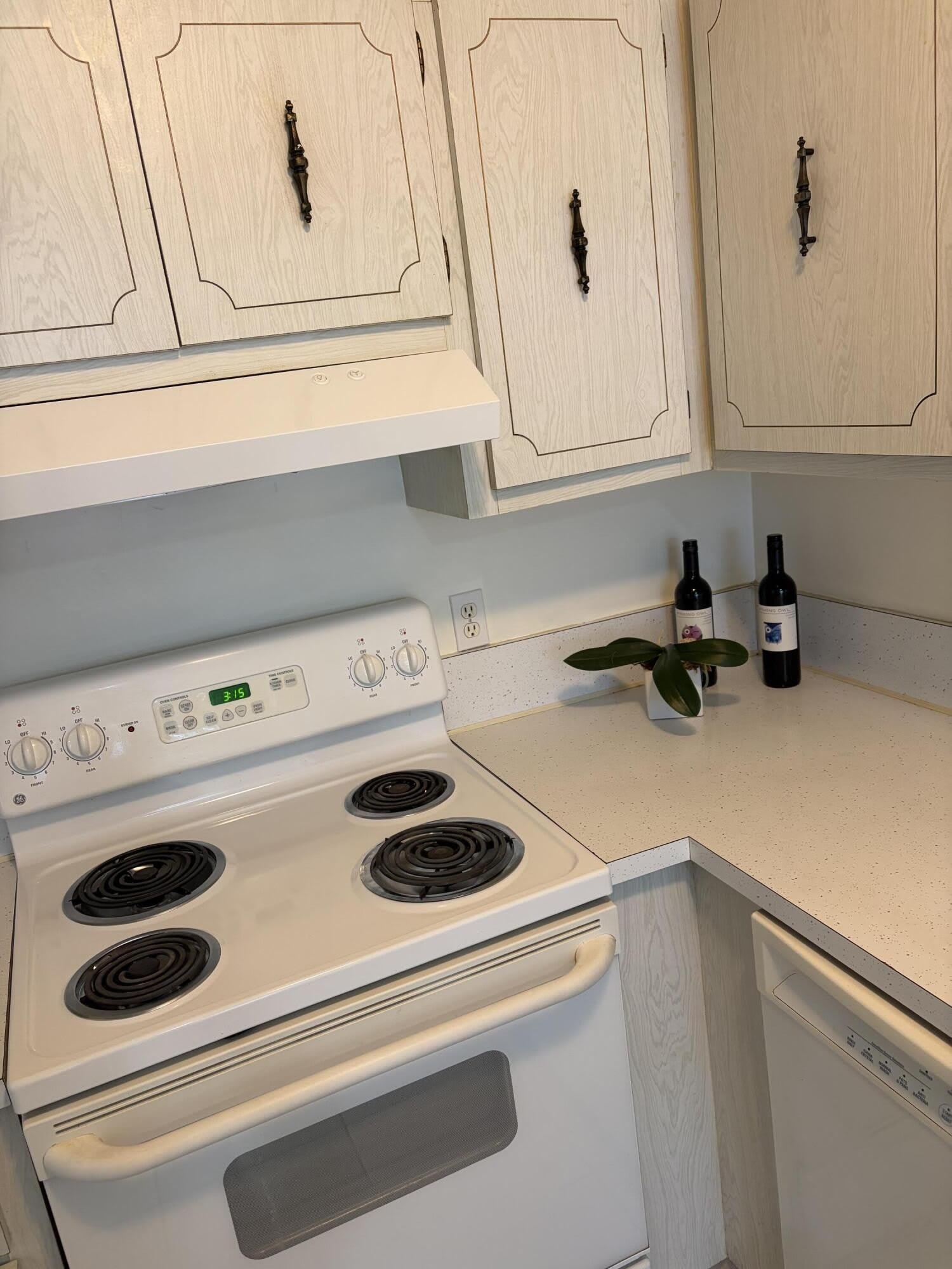 2520 Black Olive Boulevard – photo 4