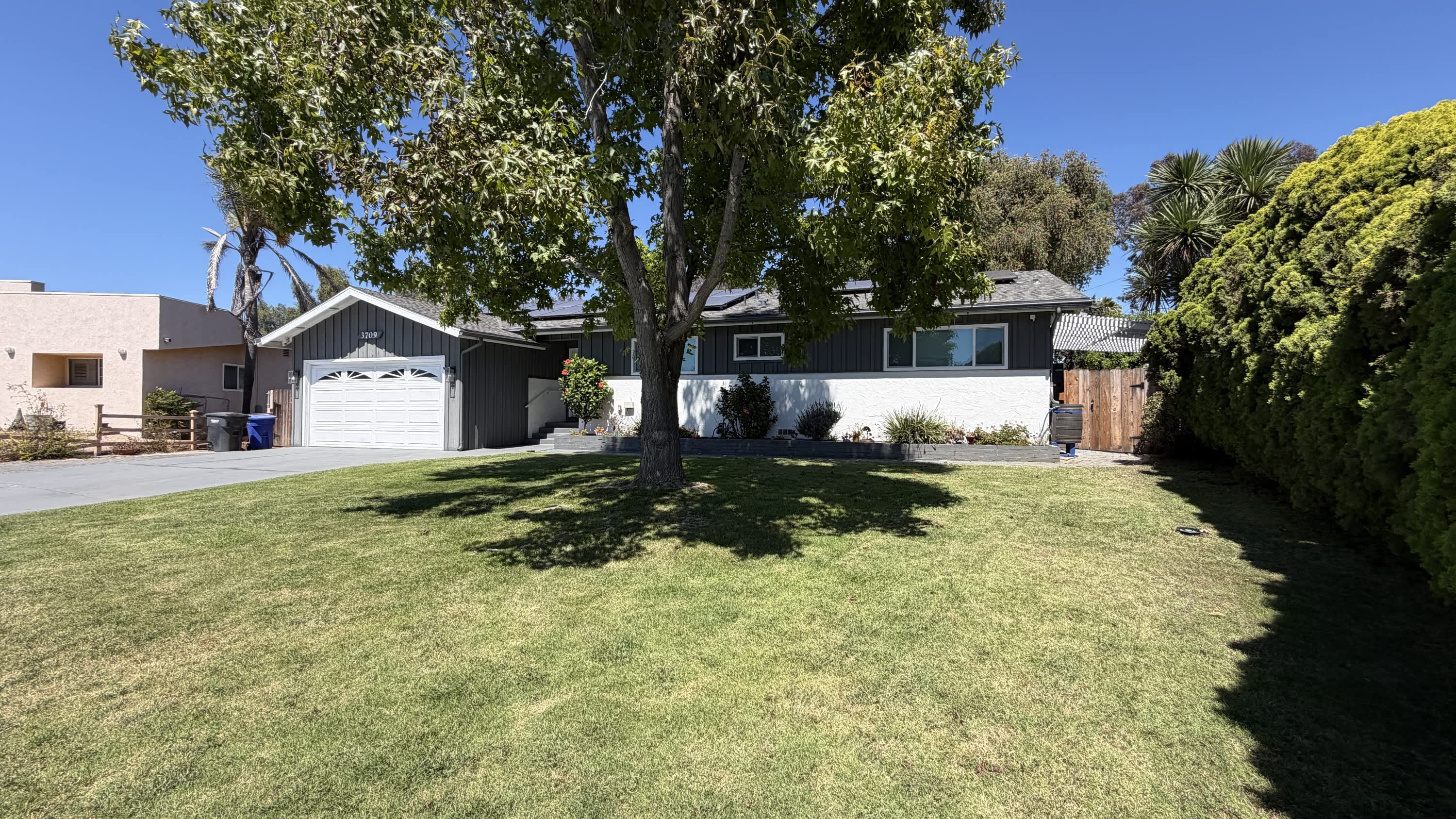 3709 Avenida Palo Verde – photo 2