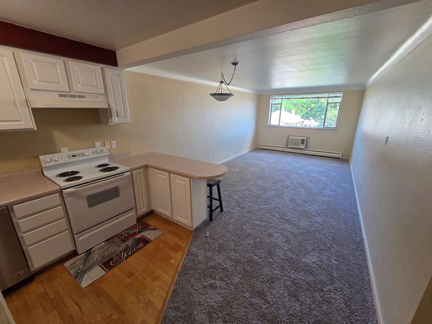 DU 1 Bed 1 Bath Condo Steps Away From Everything DU!! Available Now – photo 4