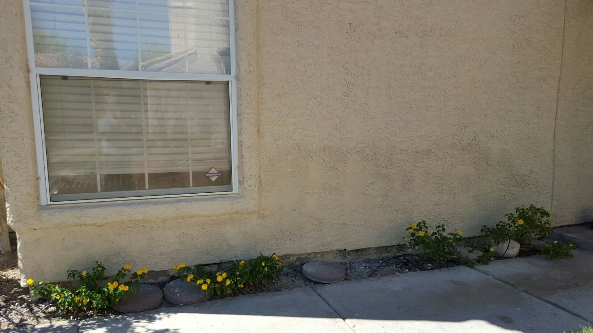 Summerlin Condo – photo 3