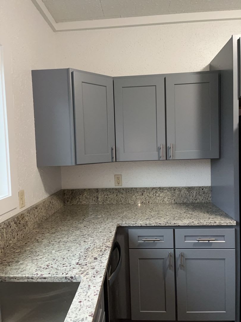 Limited-Time Offer: $25 Application Fee, Apply Today! New kitchen, windows, flooring, and lights! – photo 5