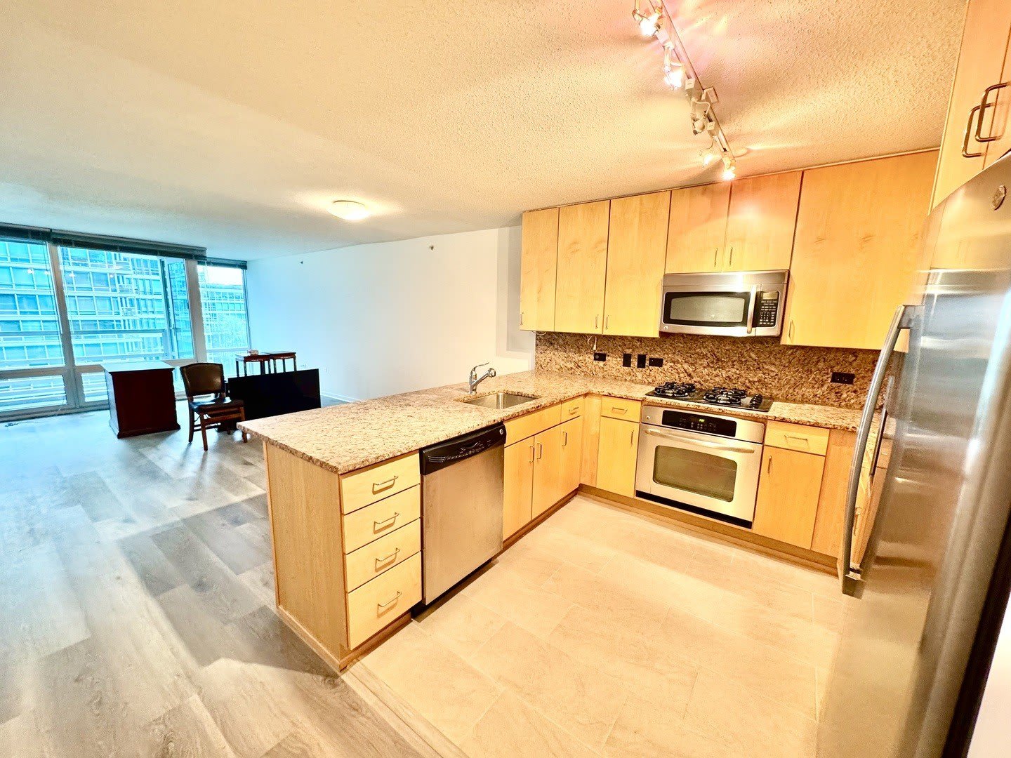 9725 WOODS Drive – photo 4