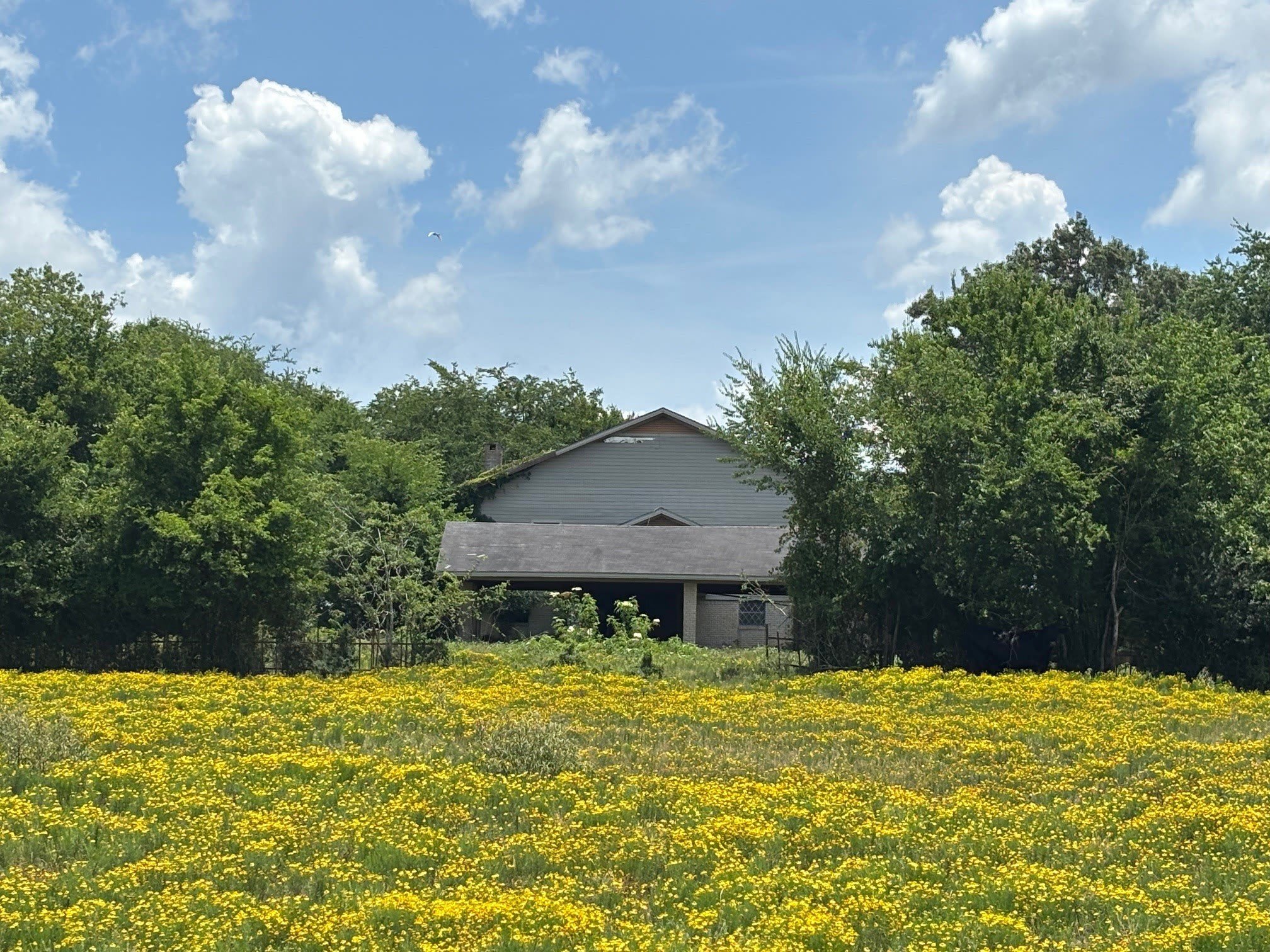 3834 Fenley Flat Road – photo 3