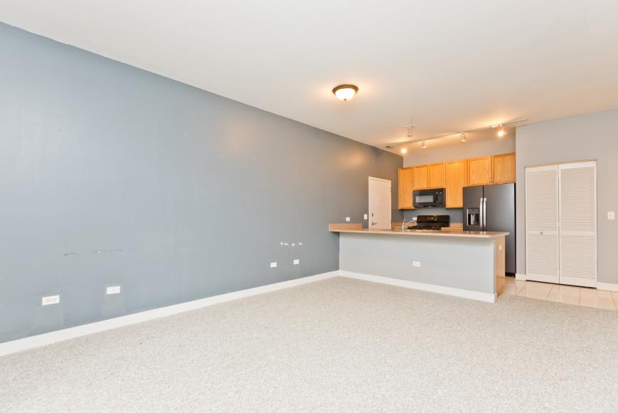 1515 S Halsted St Unit 214, Chicago, IL 60607 – photo 4