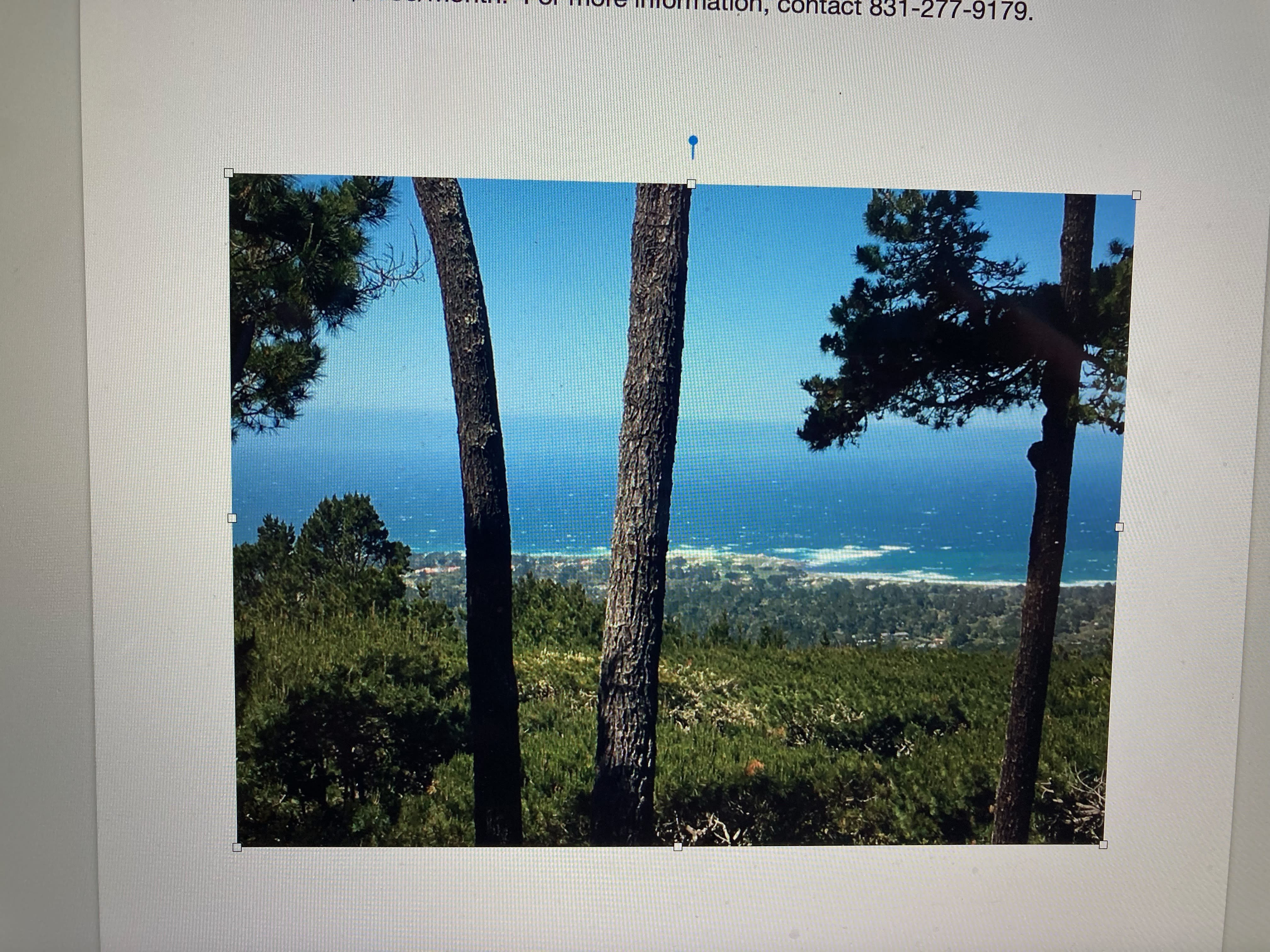 14 Ocean Pines Lane – photo 2