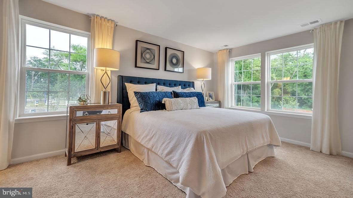 113 Mazzeo Drive – photo 5