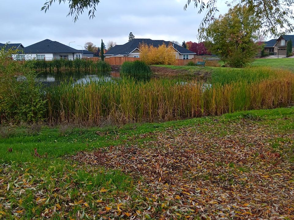 925 Callaway Drive – photo 1