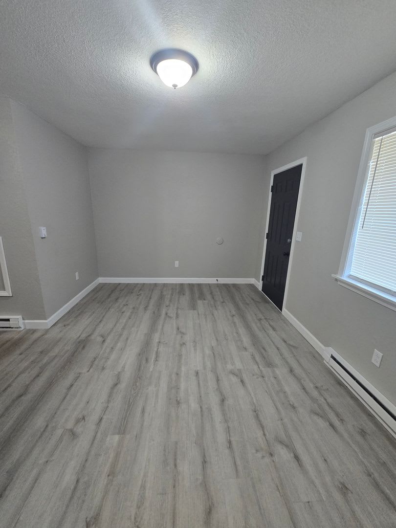 1 Bedroom 1 Bathroom Apartment – photo 4