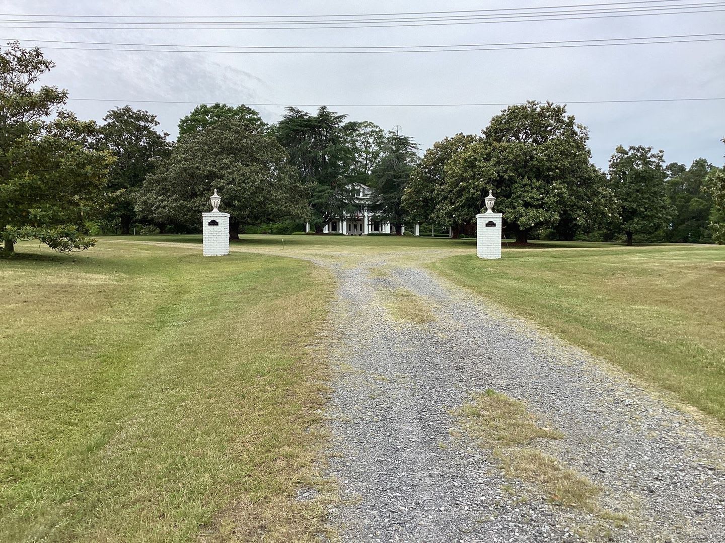Stately Mansion on 17 Acres with Enormous Magnolia Trees – photo 4
