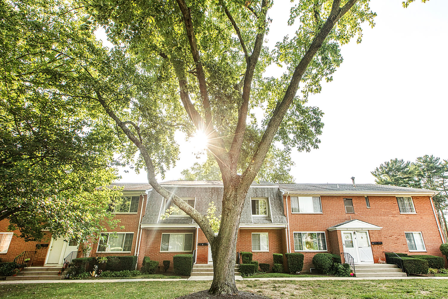 Homestead Gardens Apartments – photo 2