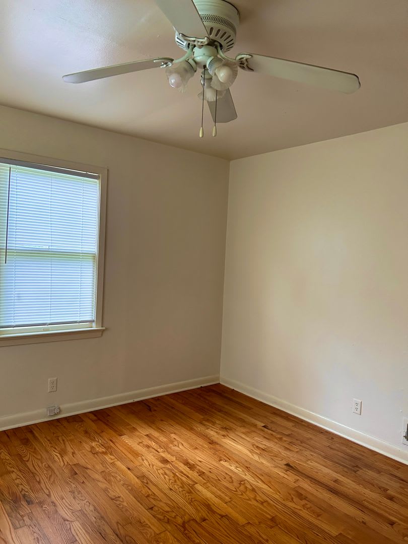 817 Boulevard St – photo 2