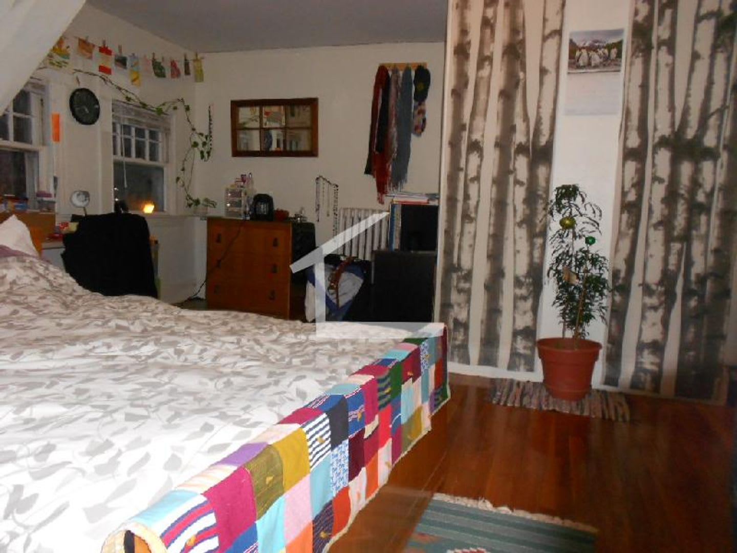 141 Naples Rd 3C Brookline Ma 02446 – photo 3