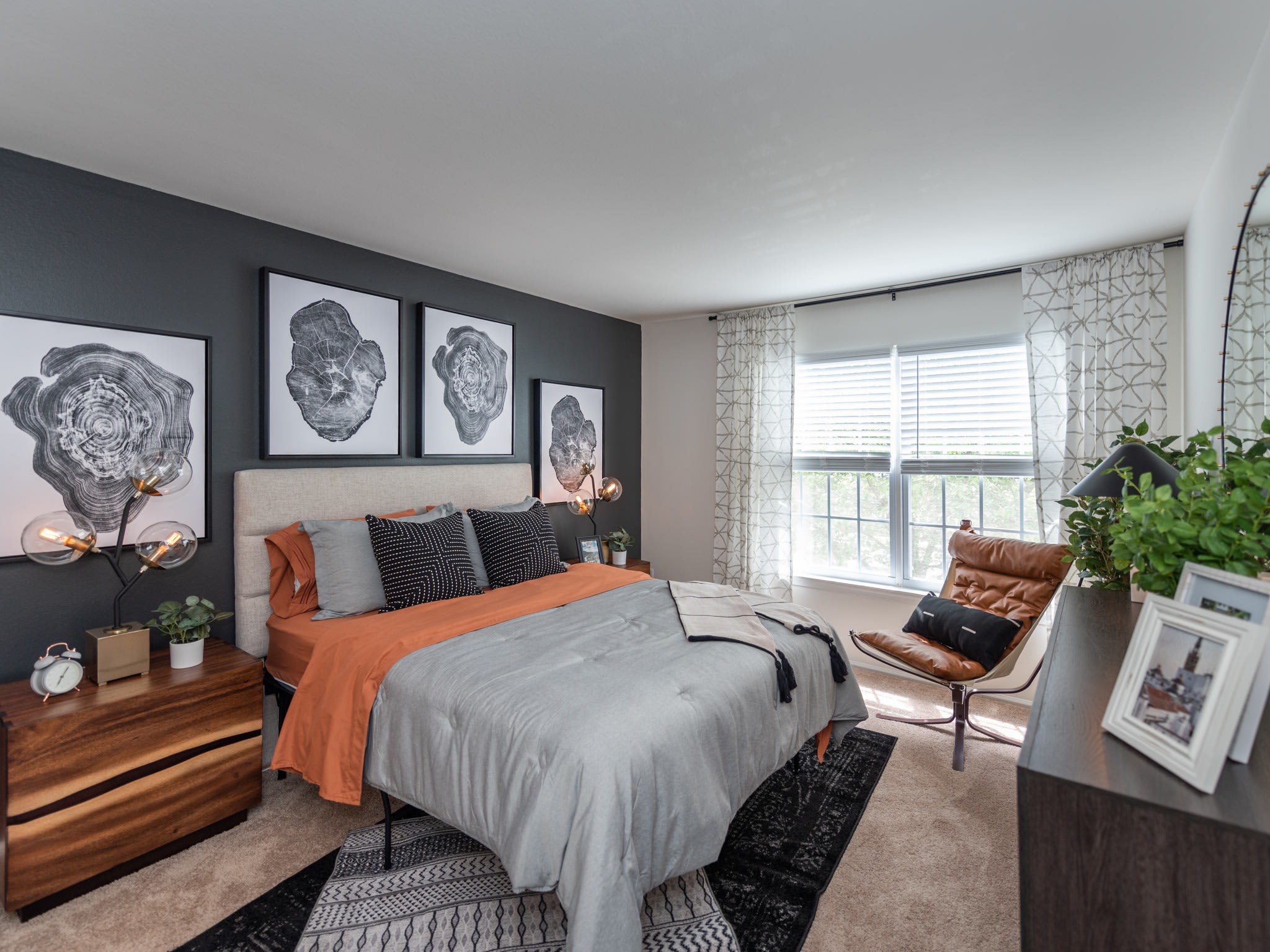 Avana Fieldstone – photo 4
