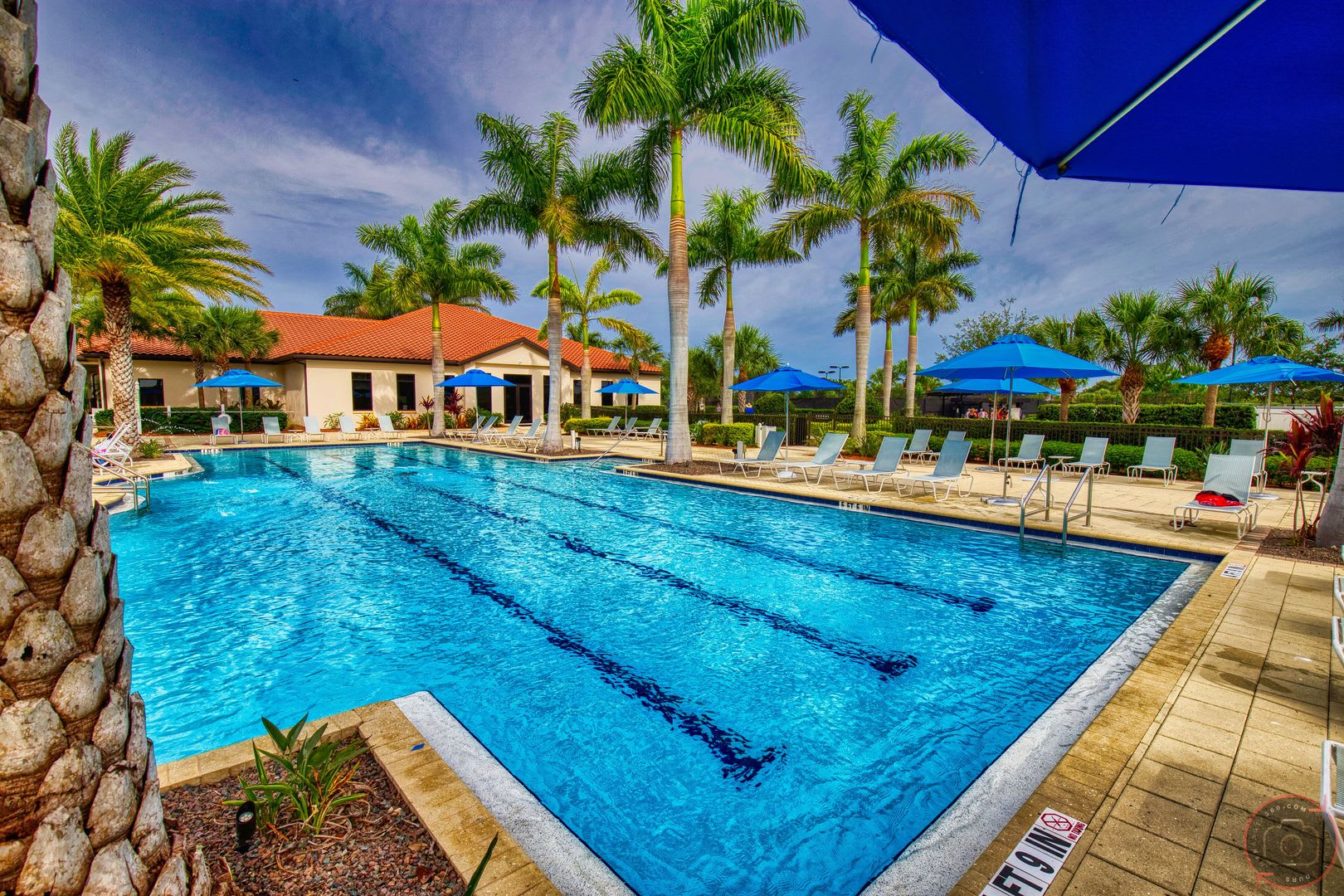 Seasonal Short-Term 3 Bedroom 2 Bathroom Single Family Home in Sarasota National! – photo 4